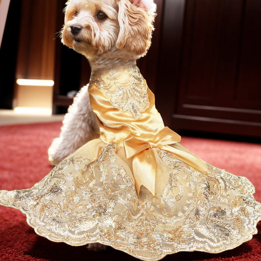 Champagne Luxury Dog Princess Dresses