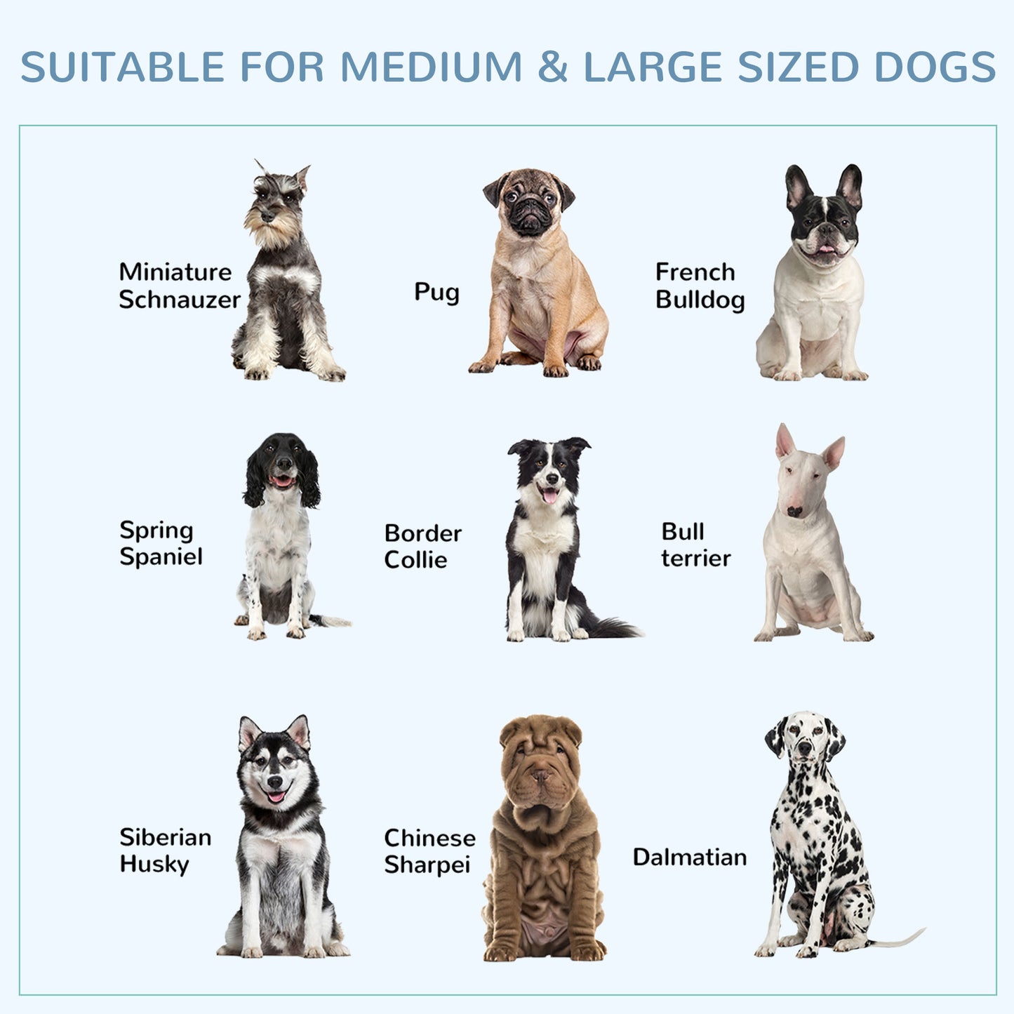 Dog Kennel, Welded Wire Heavy Duty Dog Run, Dog Kennel Outside