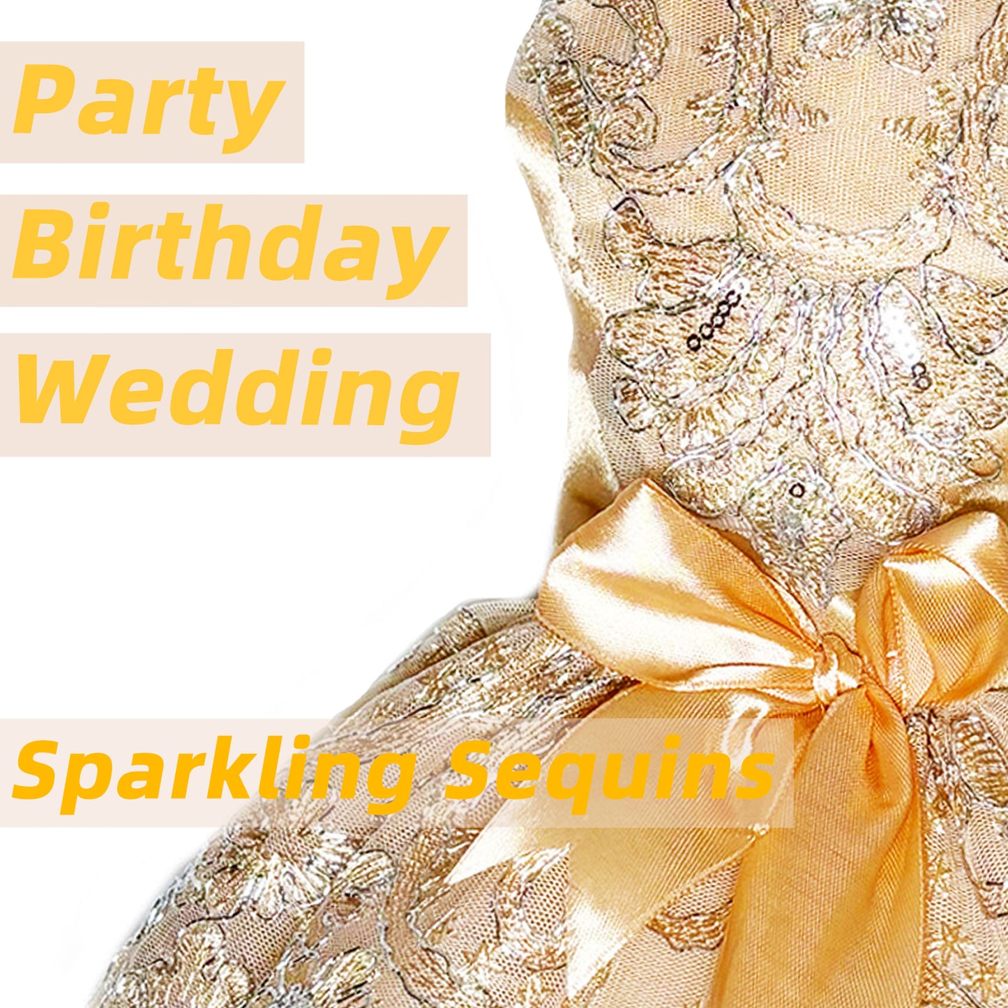 Champagne Luxury Dog Princess Dresses